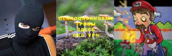 сатива Бородино