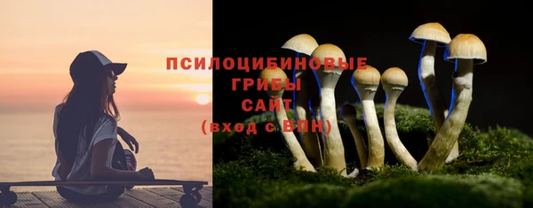 сатива Бородино