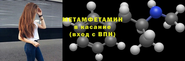 сатива Бородино