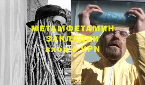 сатива Бородино