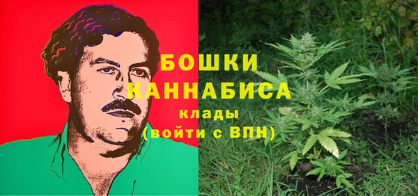 сатива Бородино