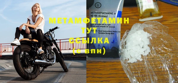 сатива Бородино