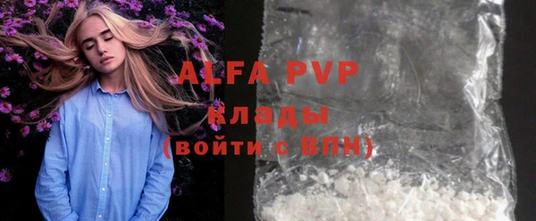 молекула духа Ладушкин