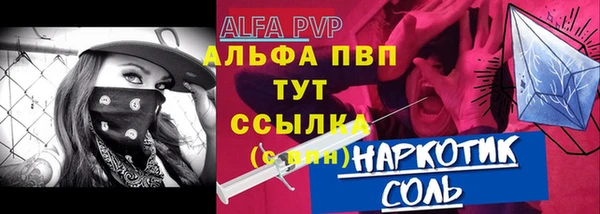 сатива Бородино